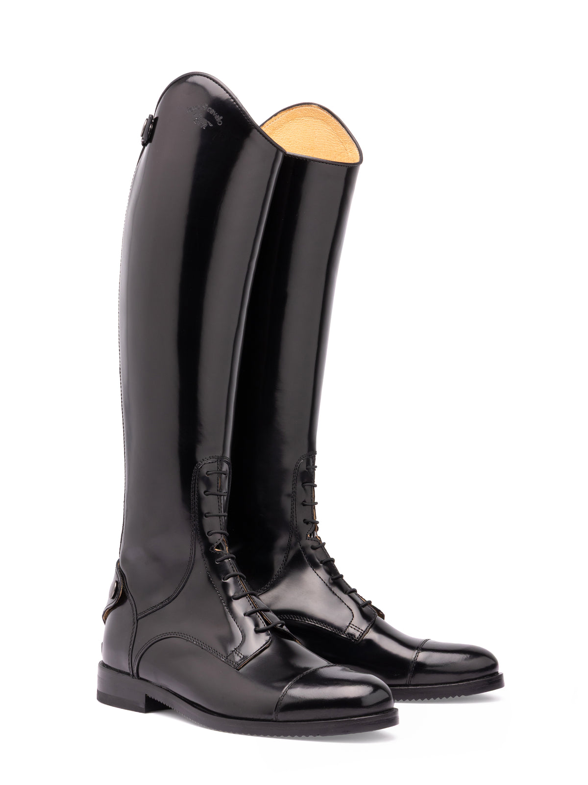 2700  Vernice Totale